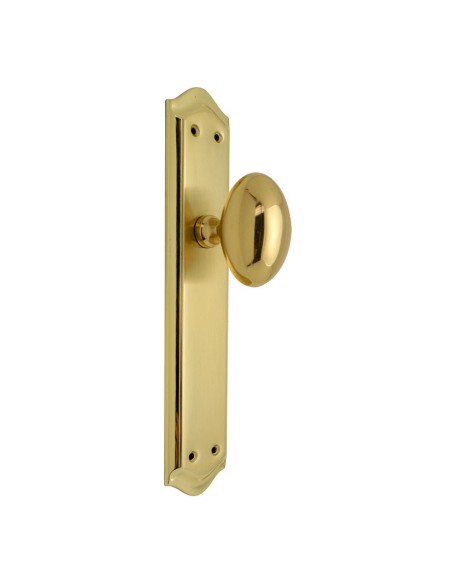 PLACA C/POMO 203 LATONADO. 49xh256 mm.