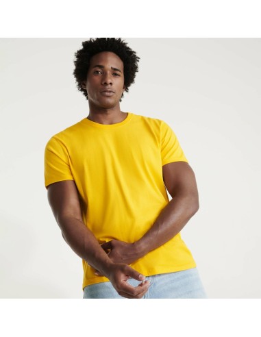 Camiseta Braco Roly 6550