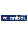 Anibal